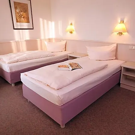 Traube Ruedesheim 4*